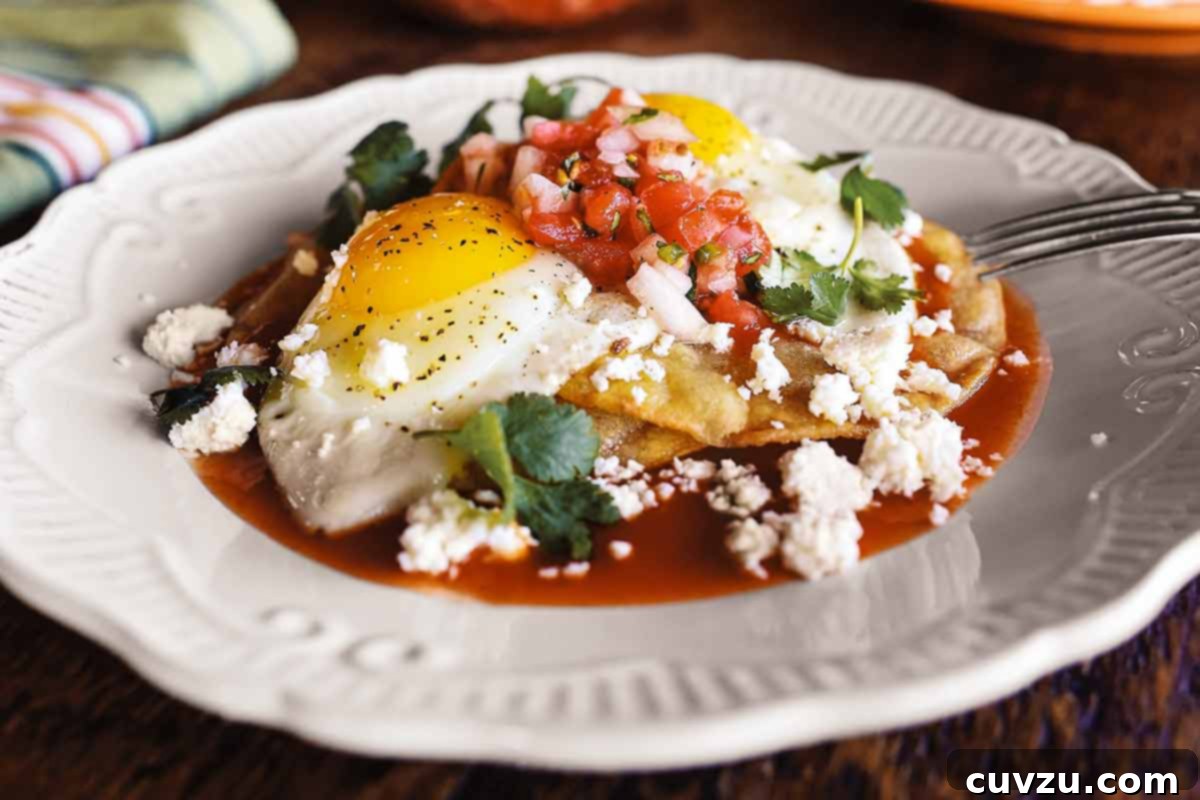 featured 274290