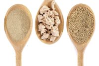 Demystifying Yeast: Key Differences Explained