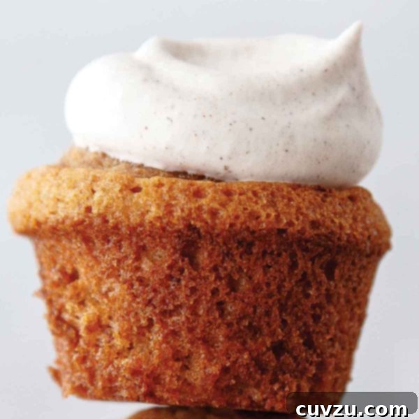 Warm Spiced Chai Whipped Cream 4 A cupcake with a swirl of spicy chai whipped cream on top, dusted with cinnamon.