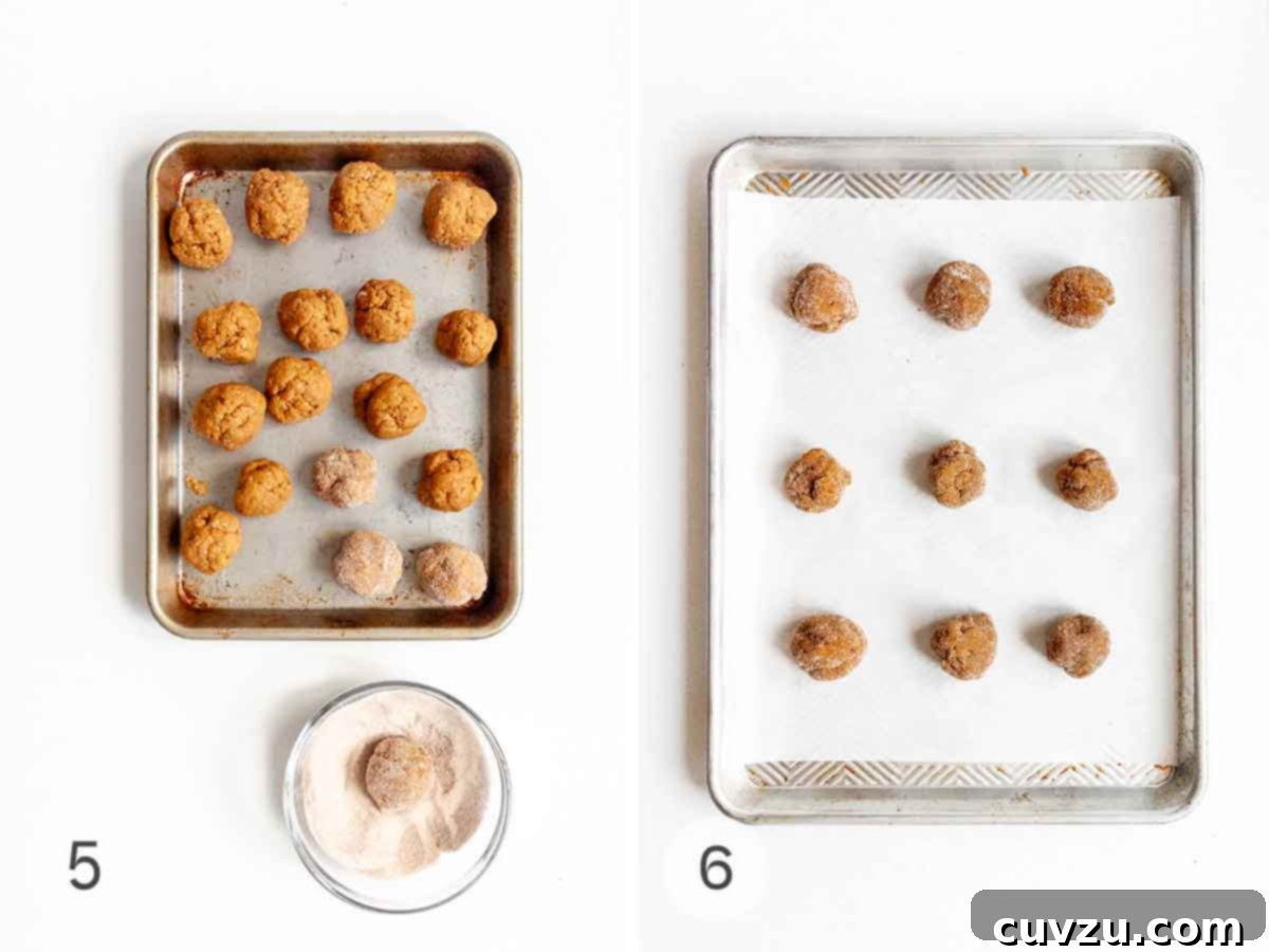 Golden Harvest Spice Cookies 7 Balls of cookie dough being rolled in spiced sugar, then arranged on a baking sheet.