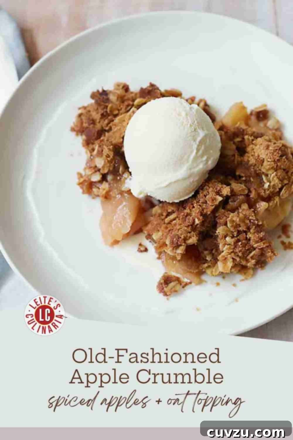 Warm Spiced Apple Delight 3 A warm apple crumble on a white plate topped with a scoop of melting vanilla ice cream and a dusting of cinnamon.