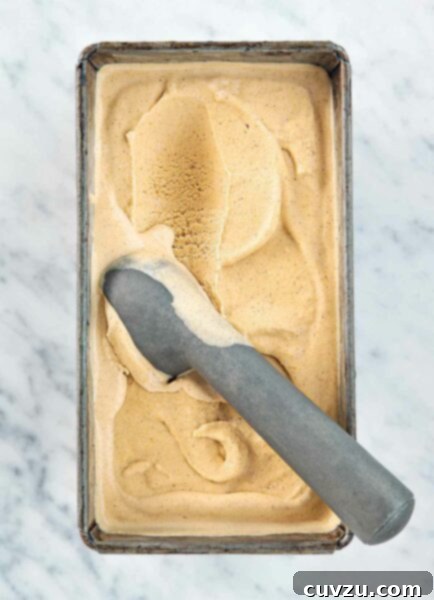 Spiced Pumpkin Dream 4 A metal container filled with pumpkin ice cream and a metal ice cream scoop resting inside.