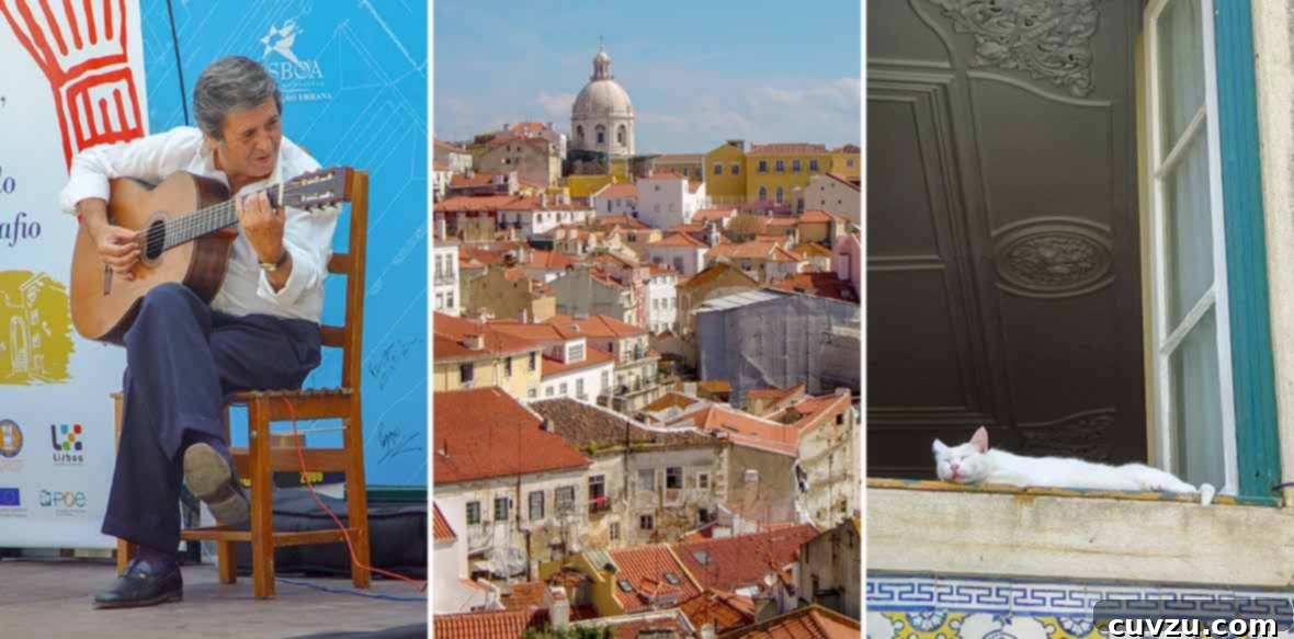 Lisbon's Golden Homecoming 5 A captivating triptych: a passionate Fado singer mid-performance, a panoramic vista of Lisbon's iconic red-tiled rooftops, and a serene cat resting in a sunlit window.