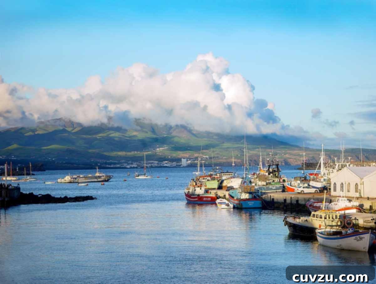 Azores The Atlantic's Hearty Plate 4 Ponta Delgada Harbor, on the Azorean island of Sao Miguel