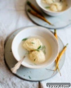 Two gluten free matzo balls in a bowl of broth garnished with dill.