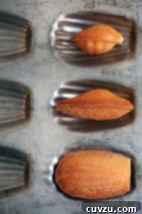 Three orange madeleines in a madeleine tin, ready to be enjoyed.