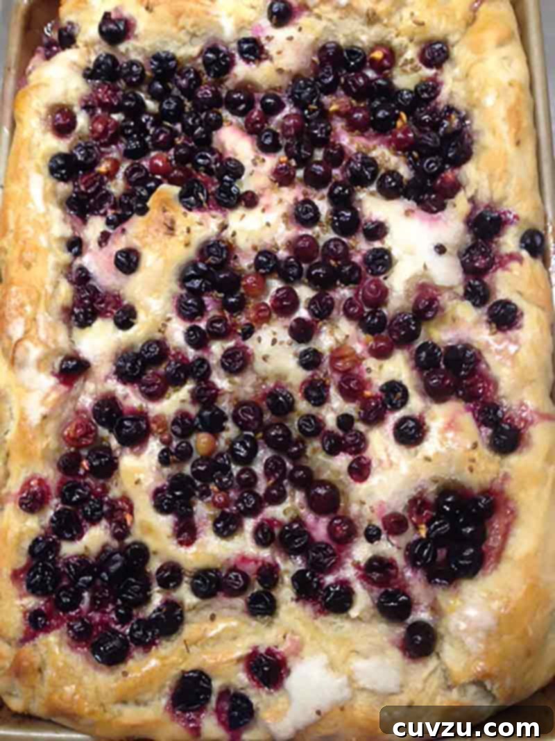 Sweet and Savory Grape Focaccia 5 Grape Focaccia Recipe with whole grapes and a golden crust.