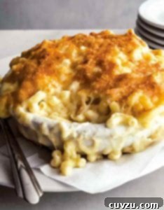 A close-up shot of a serving of macaroni au gratin, showcasing its golden crust and creamy interior.