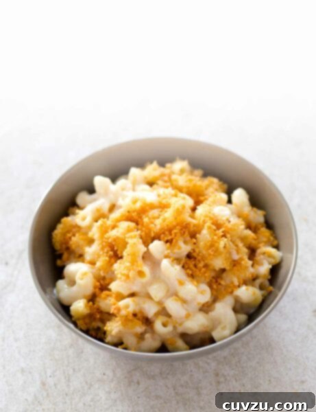 A close-up shot of baked mac and cheese with a golden-brown, crispy bread crumb topping in a rustic grey bowl.