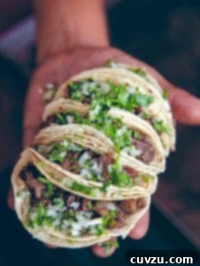 Man's hand holding four beef tongue tacos, or taquitos de lengua, filled with cubed meat, onions, cilantro