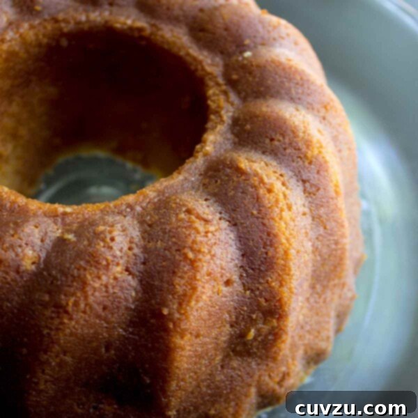 Golden Rum Cake Perfection 3 A deeply flavored Caribbean rum cake presented in a grey serving bowl.