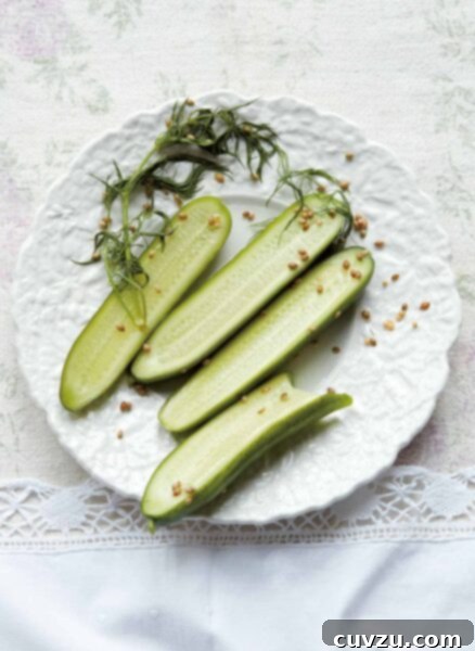 Three and a half quick dill pickles, dill seed, and a sprig of dill on a decorative white plate.