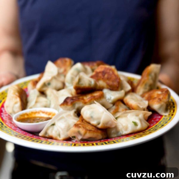A person holding a platter of fried pork dumplings and bowl of dipping sauce.