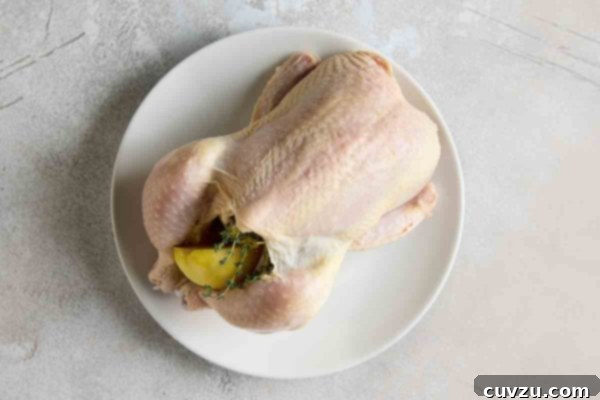 An uncooked whole chicken stuffed with herbs and lemon.