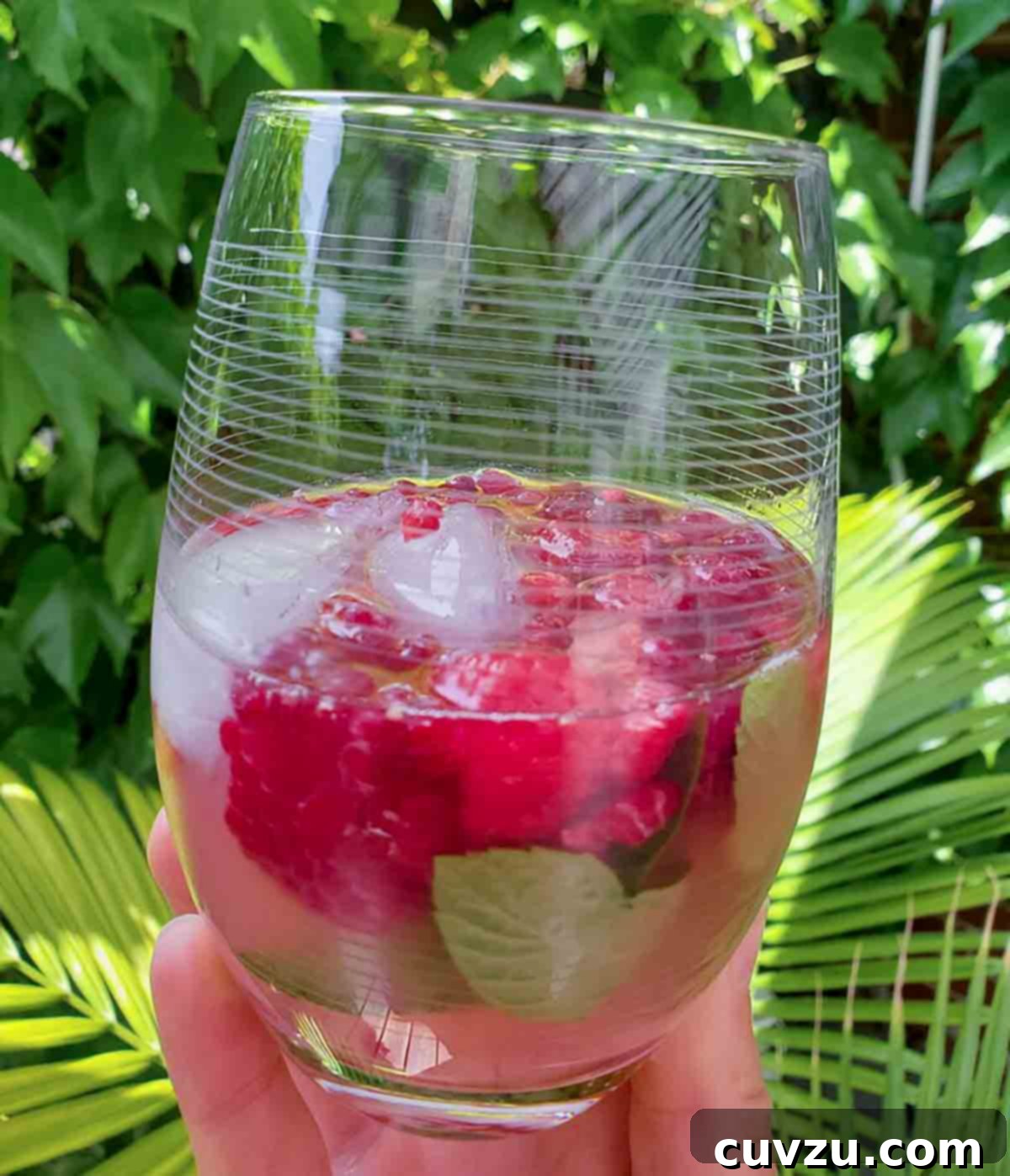 Tequila Kissed Raspberry Refresher 4 A glass of raspberry lemonade with tequila garnished with a mint sprig.