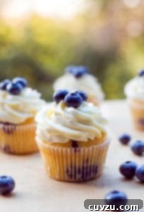 A close-up of a blueberry cupcake with whipped cream and fresh blueberries.