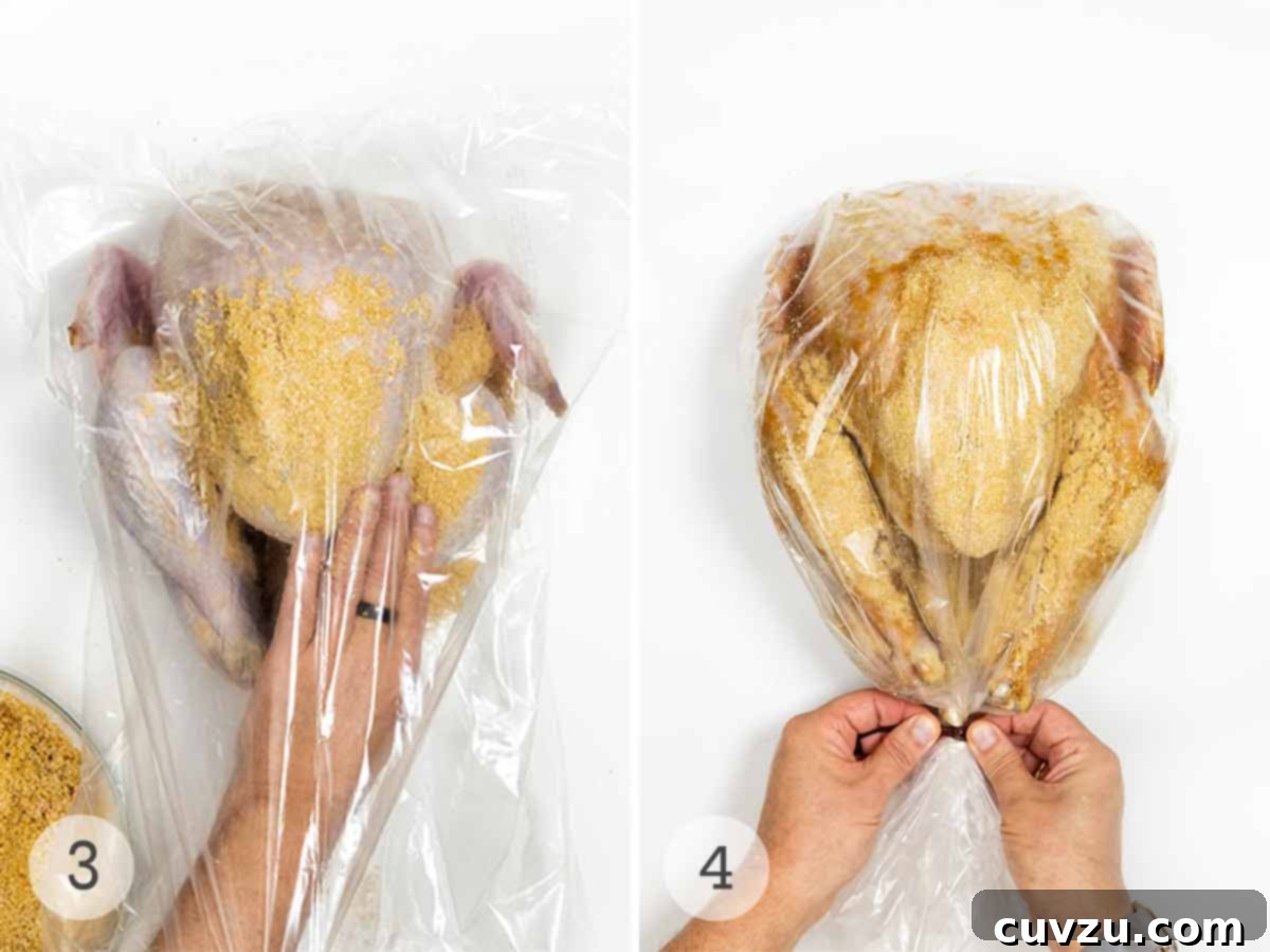 Flavorful Dry Brine Turkey 7 A person rubbing a turkey with dry brine, then securing the bag that the turkey is in.