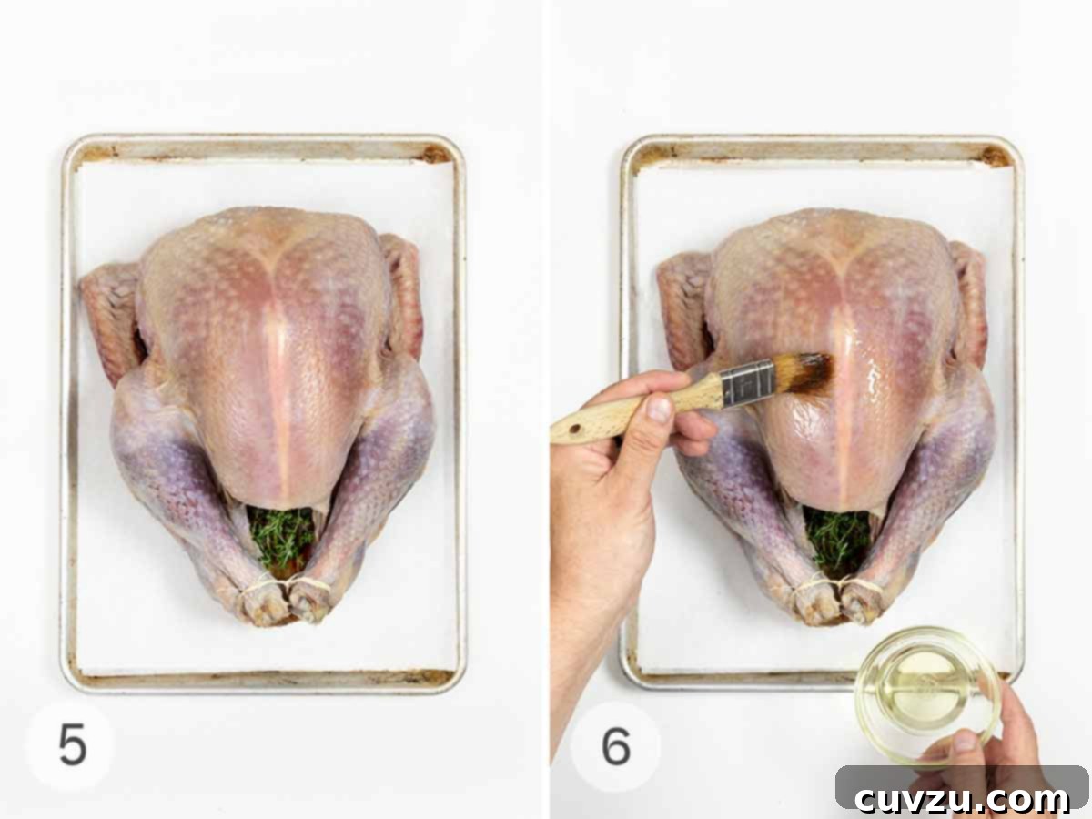 Flavorful Dry Brine Turkey 8 A whole turkey with some herbs in the cavity on a baking sheet and a person brushing the turkey with oil.