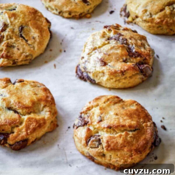 A close-up of several golden-brown chocolate pecan scones on a baking sheet, showcasing their flaky texture and visible chocolate and pecans.