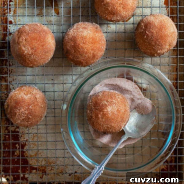 Seven dirt bombs on a wire rack over a baking sheet and a bowl of cinnamon sugar with one dirt bomb in it.