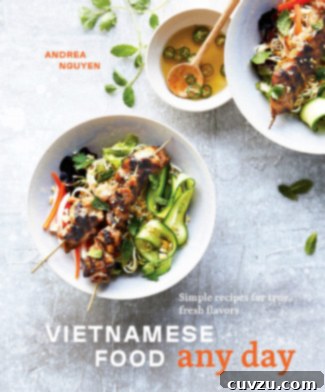 Vietnamese Food Any Day Cookbook