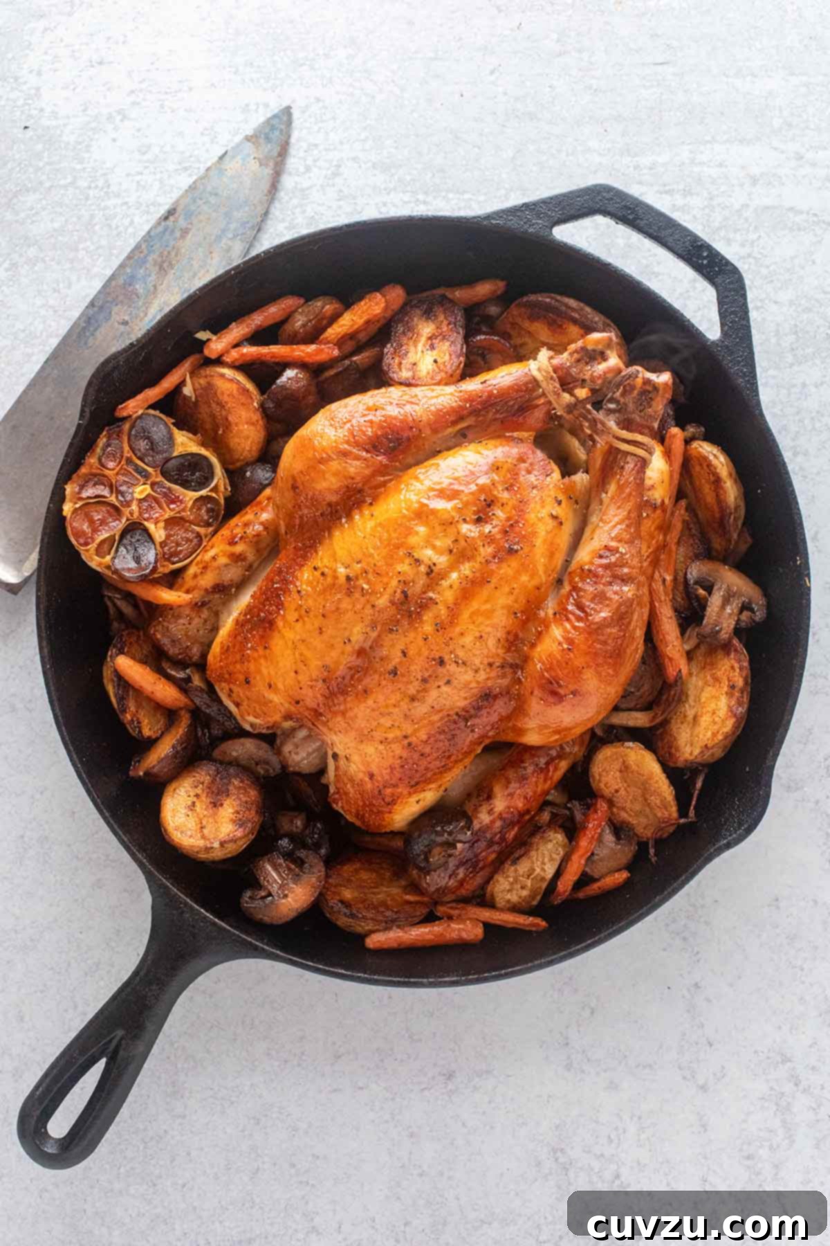 David Leite's Signature Brined Roast Chicken 5 A skillet with David Leite's best brined roast chicken in a cast iron Dutch oven surrounded by potatoes, mushrooms, carrots, and a halved head of garlic. Golden brown brined chicken with vegetables around it.