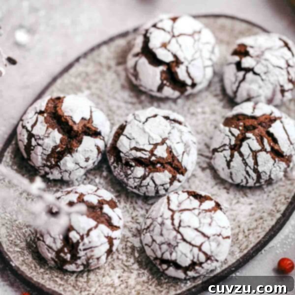 Spiced Chocolate Ginger Crinkles 3 A close-up of a plate with chocolate-ginger crinkle cookies.