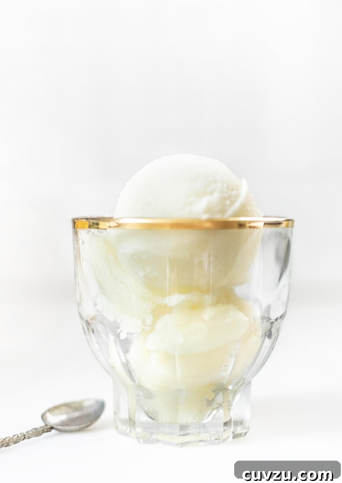 Lemon Sorbet Tart 6 A charming small glass serving bowl presenting two perfectly formed scoops of the inviting tart lemon sorbet, ready to be enjoyed.