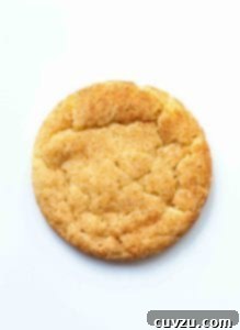 A close-up of a snickerdoodle cookie with a golden hue and visible cinnamon sugar crystals, ready to be enjoyed.