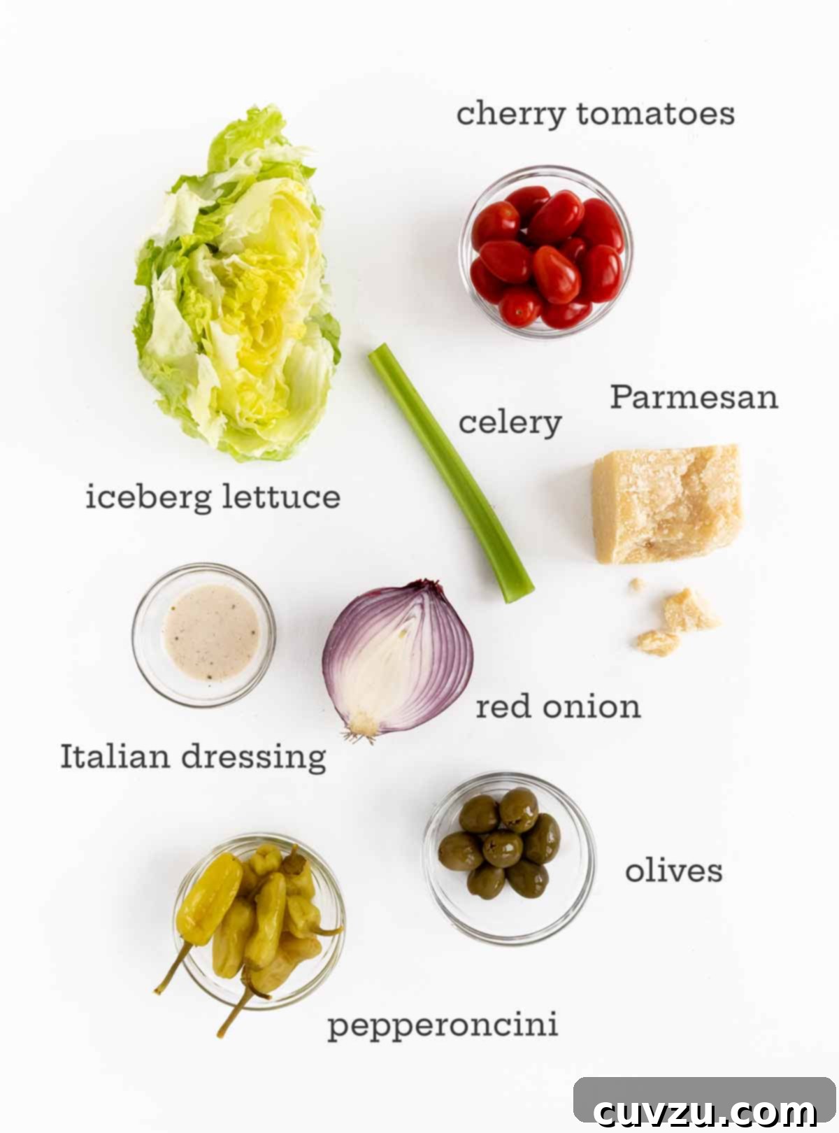 Tuscan Garden Salad 4 Ingredients for Italian salad -- lettuce, tomatoes, celery, Parmesan, dressing, onion, olives, and pepperoncini.