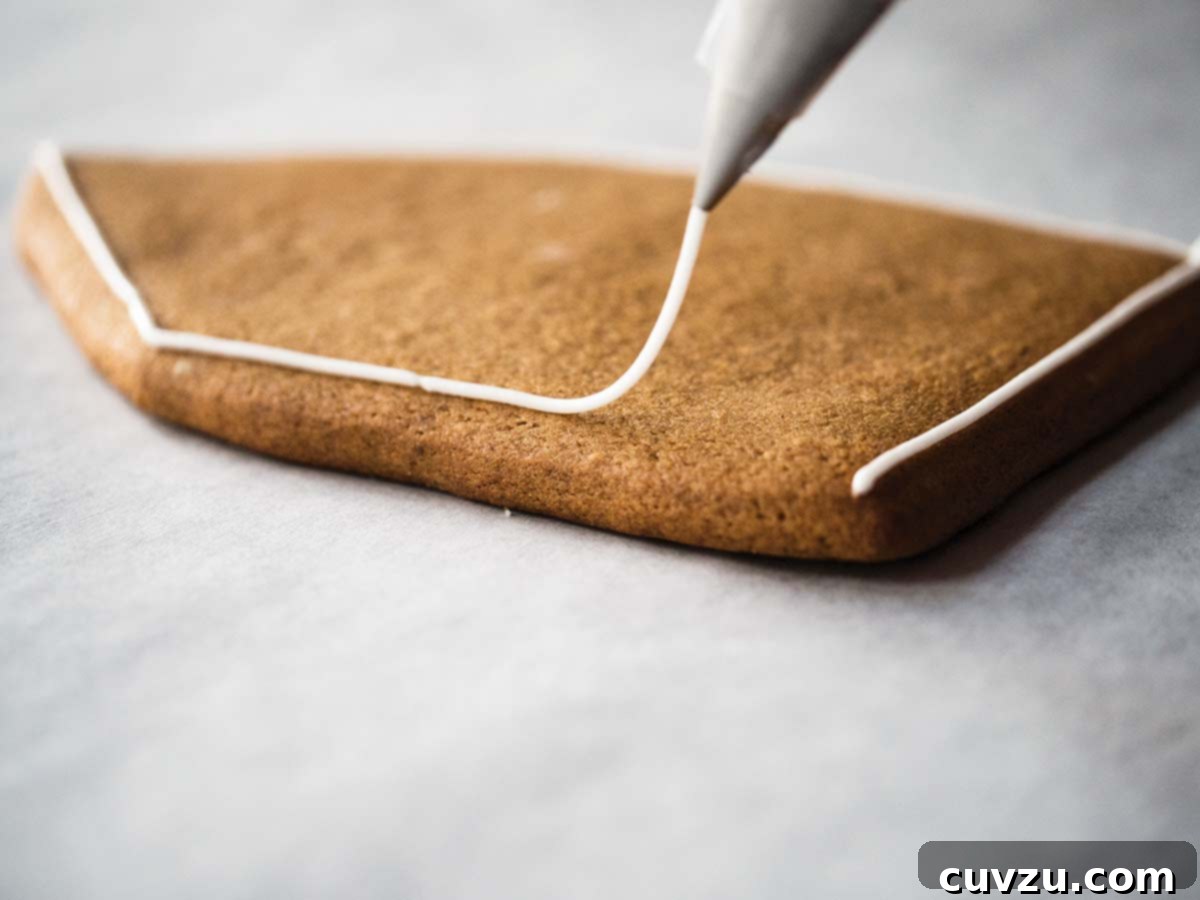 The Art of Royal Icing Decoration 3 A piece of gingerbread cookie being decorated with precise royal icing lines and details.