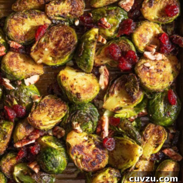 A tray of roasted Brussels sprouts with cranberries and pecans, invitingly presented.