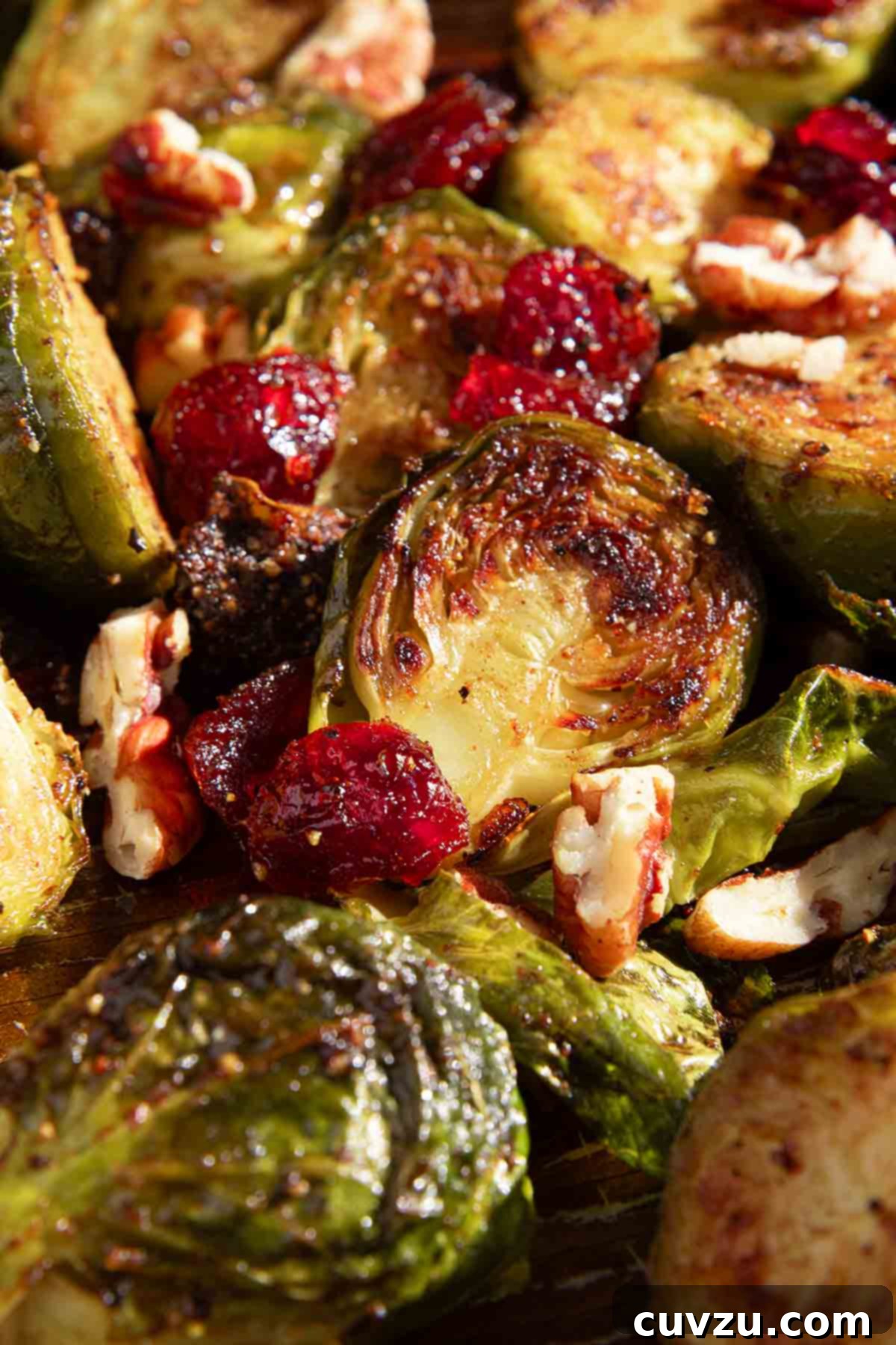 Kickin' Crispy Brussels 8 Close-up of roasted Brussels sprouts mixed with dried cranberries, showcasing their caramelized edges and vibrant colors.