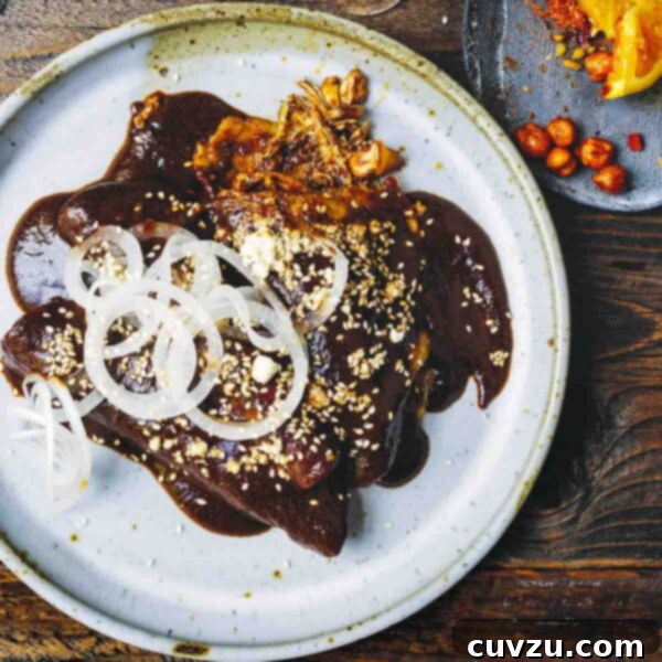 Two enchiladas de mole poblano on a white plate, topped with thinly sliced white onion and sesame seeds.