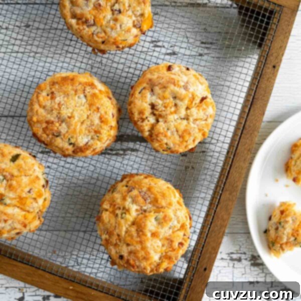 Homestyle Ham and Cheddar Biscuits 4 Cooling rack with 5 ham and Cheddar biscuits on it plus a white plate with a half eaten biscuit on top