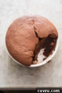 A partially-eaten chocolate souffle in a round white ceramic dish, showcasing its perfectly risen, airy texture and rich chocolate hue.