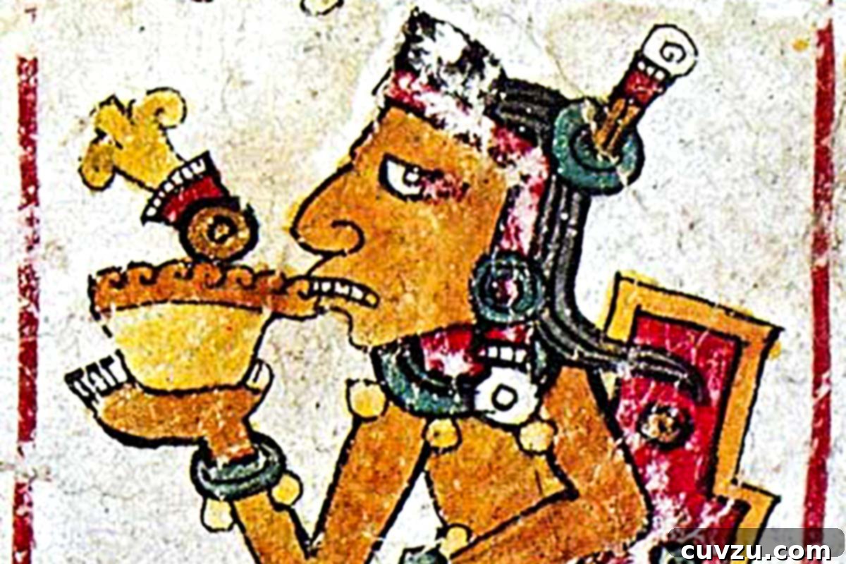 Natural vs. Dutch Process Cocoa Powder: Which One for Your Baking 3 An illustration of a Mayan drinking cocoa, depicting the ancient origins of cocoa.