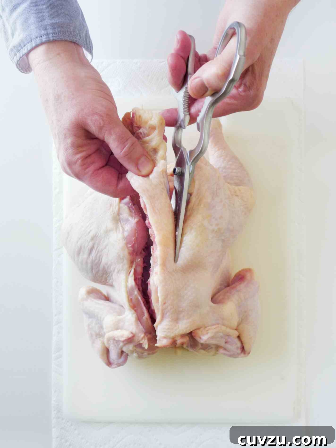The Art of Spatchcocking 3 A person expertly cutting through the backbone of a whole chicken with heavy-duty kitchen shears to prepare it for spatchcocking.