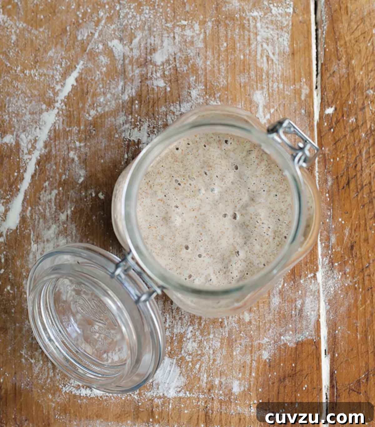 Crafting Your Sourdough Magic 4 A glass jar showing a slightly bubbly sourdough starter, indicating early signs of fermentation.