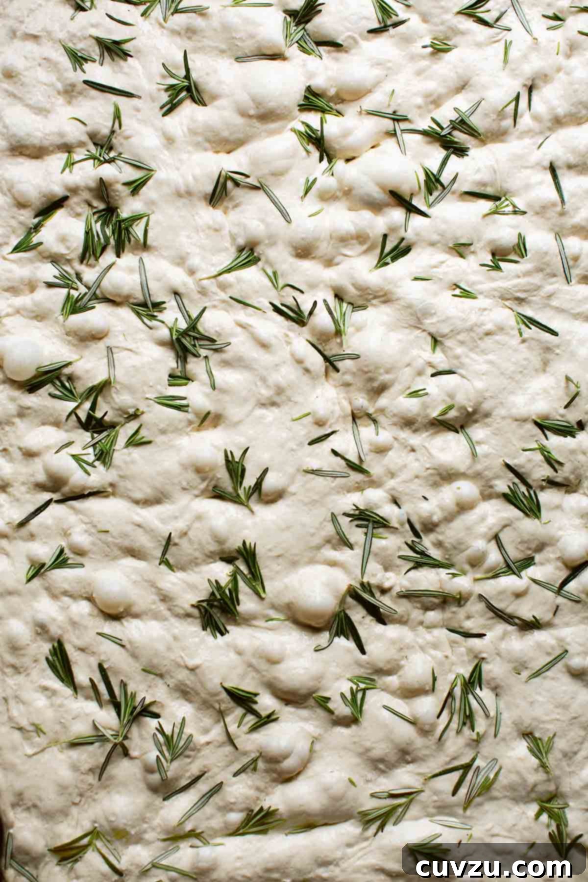 Red Onion and Rosemary Focaccia 3 An uncooked loaf of red onion and rosemary focaccia.