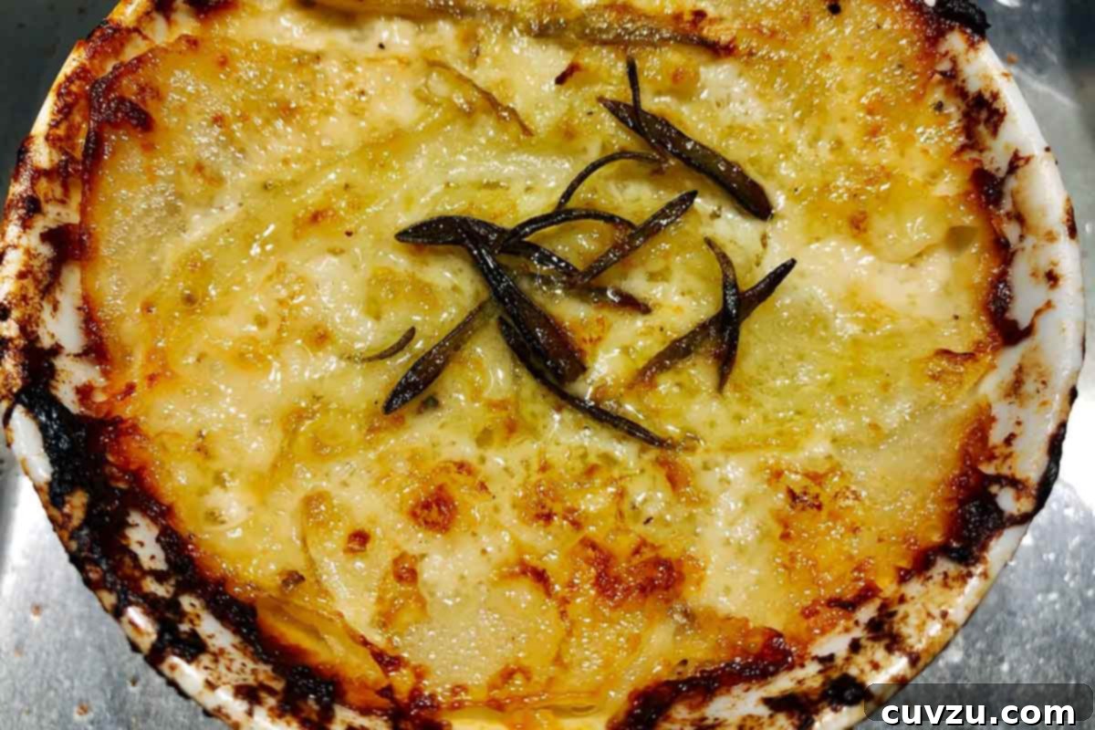 Aromatic Fennel Potato Gratin 5 A round casseroled dish filled with fennel potato gratin, garnished with rosemary.