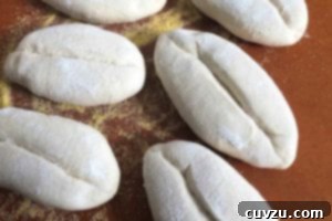 Papo Secos Portuguese Rolls 11 Unbaked Papo Secos arranged on a cornmeal-dusted baking mat, carefully prepared for transfer into the hot oven.