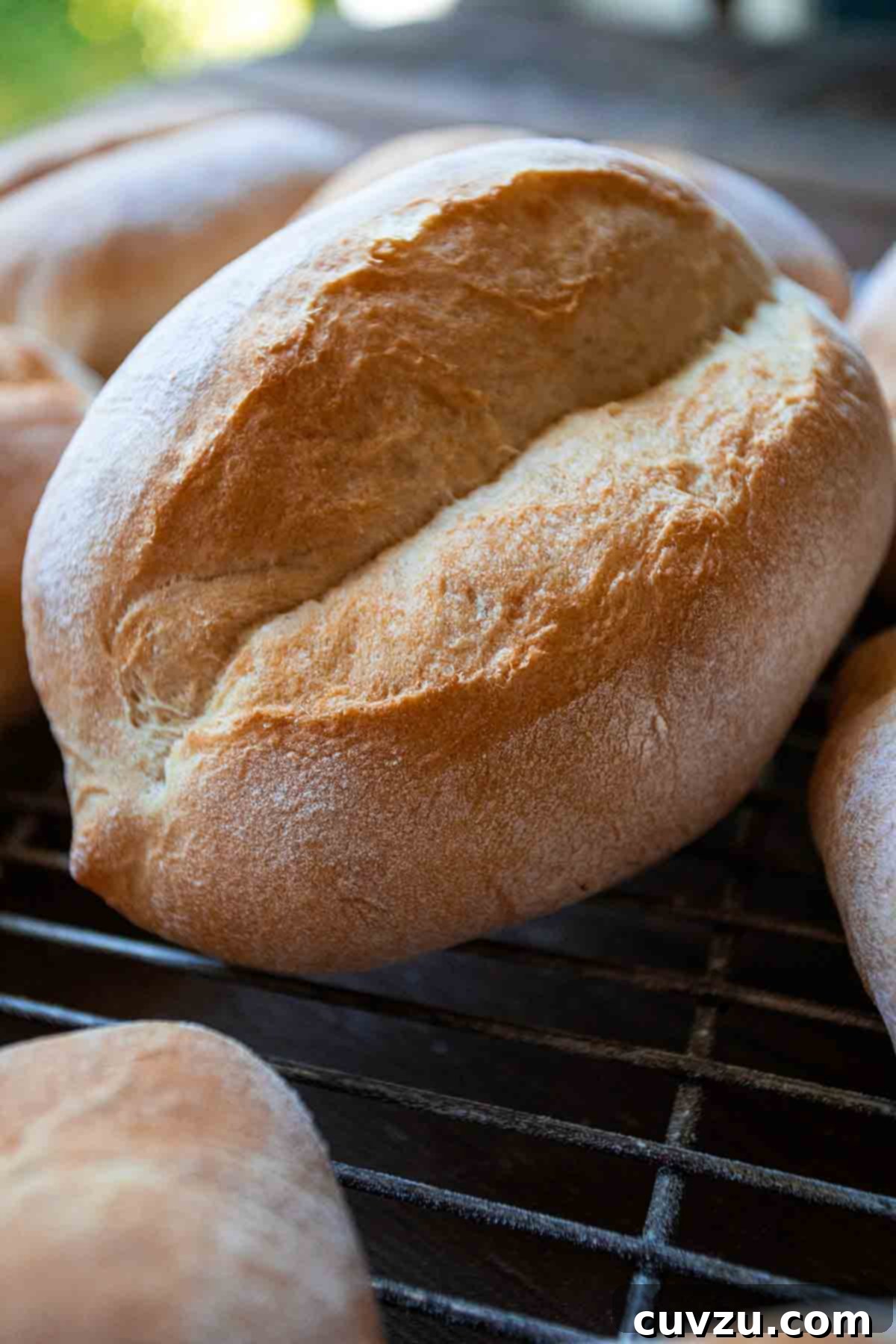 Papo Secos Portuguese Rolls 4 Several golden-brown, freshly baked Papo Secos cooling on a wire rack, highlighting their perfectly crusty finish and distinct shape.