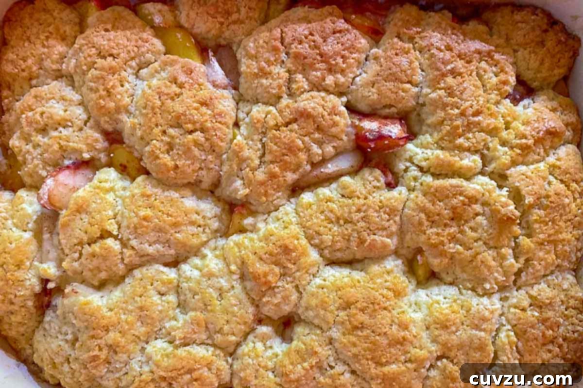 Sun-Kissed Peach Nectarine Cobbler 6 A close view of a homemade peach nectarine cobbler.