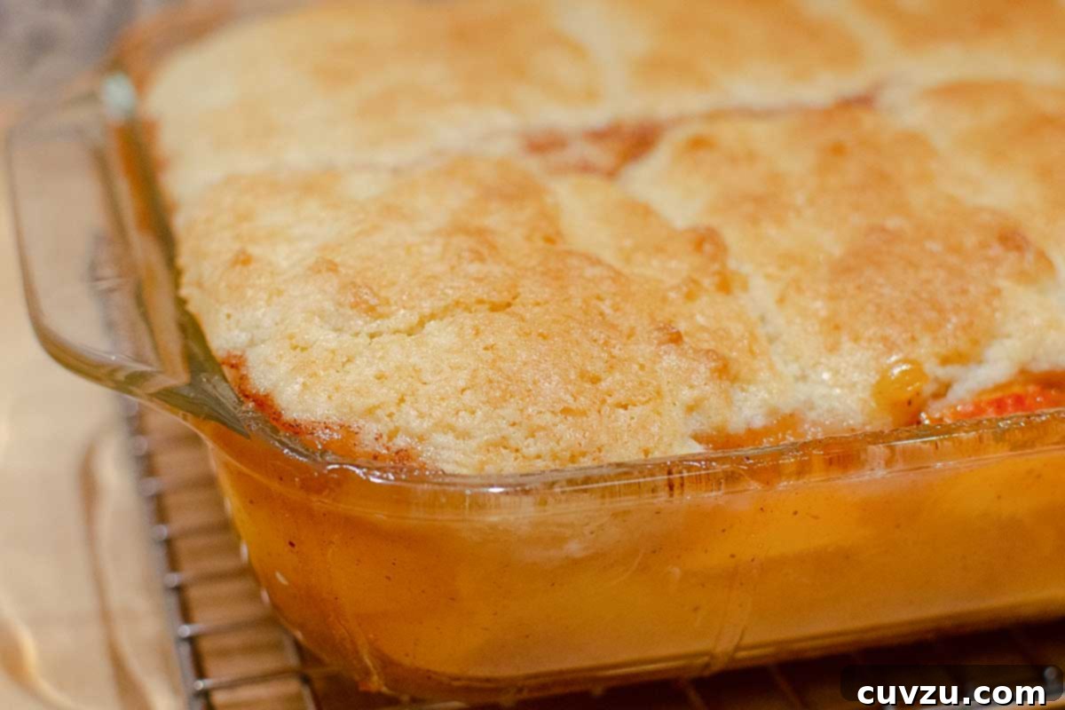 Sun-Kissed Peach Nectarine Cobbler 7 A peach nectarine cobbler in a glass baking dish.