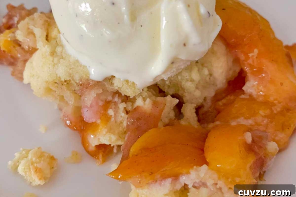 Sun-Kissed Peach Nectarine Cobbler 8 A serving of peach nectarine cobbler topped with a scoop of vanilla ice cream.