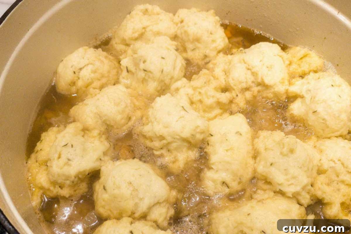 Homestyle Chicken and Dumplings 6 A white bowl filled with classic chicken and dumplings.