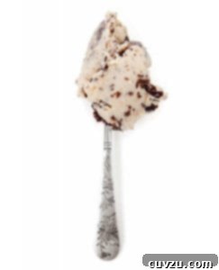 A scoop of salted peanut butter ice cream with chocolate flecks on a silver spoon.