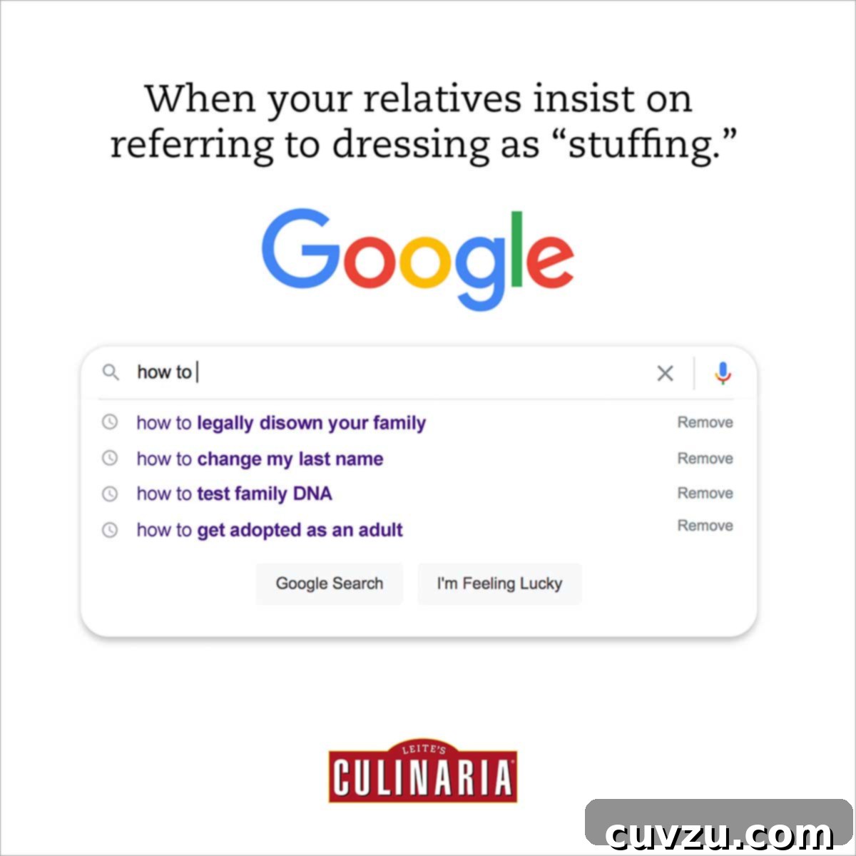 6 Irresistible Thanksgiving Stuffing & Dressing Recipes 2 A visual representation of the common confusion between stuffing and dressing, with a Google search bar asking 'how to explain stuffing vs dressing to relatives'.