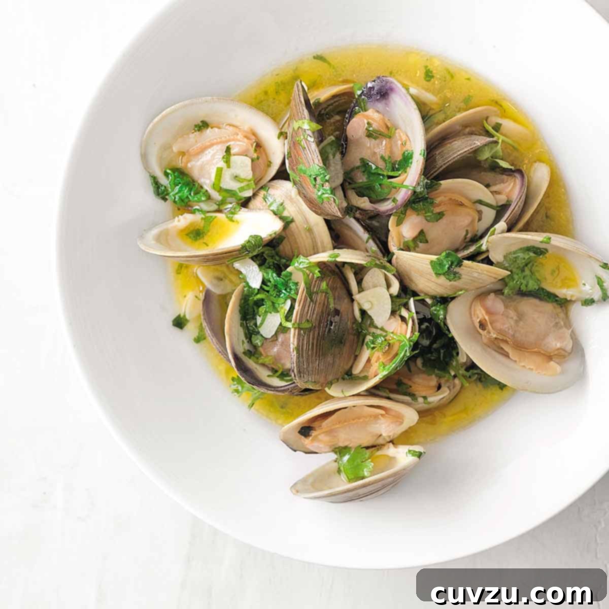 A white bowl of Portuguese clams with vinho verde in a olive oil and garlic sauce, garnished with cilantro.